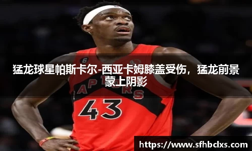 星空·综合体育中国官网