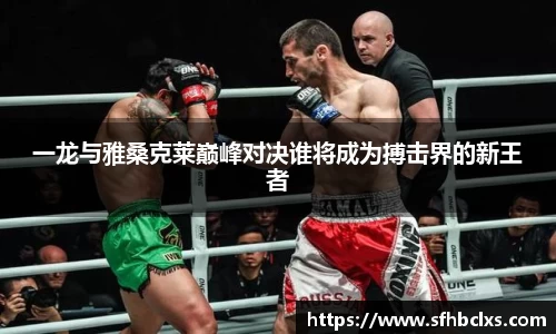 星空·综合体育官方网站