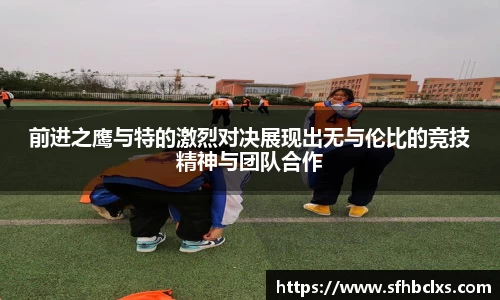 星空·综合体育中国官网