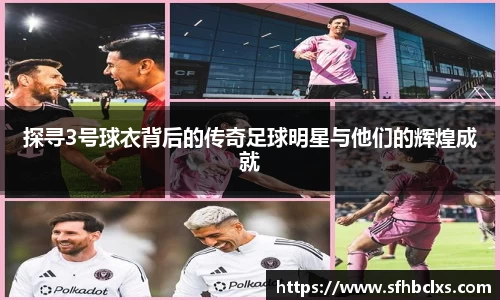 星空·综合体育官方网站