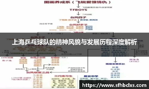 上海乒乓球队的精神风貌与发展历程深度解析